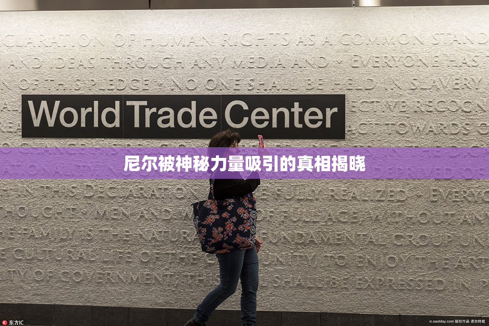 尼尔被神秘力量吸引的真相揭晓