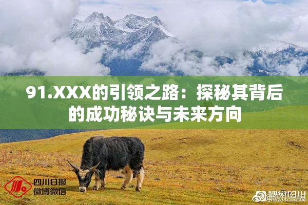 91.XXX的引领之路：探秘其背后的成功秘诀与未来方向