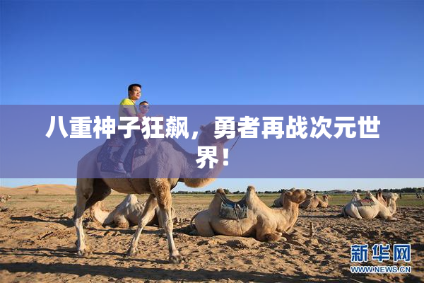 八重神子狂飙，勇者再战次元世界！