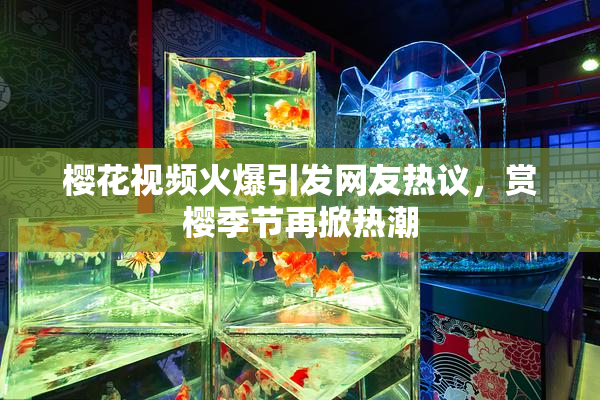 樱花视频火爆引发网友热议，赏樱季节再掀热潮