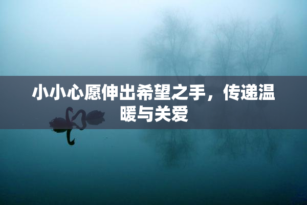 小小心愿伸出希望之手，传递温暖与关爱