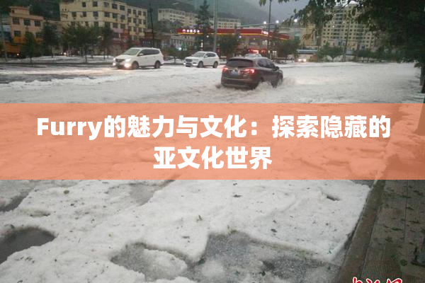 Furry的魅力与文化：探索隐藏的亚文化世界