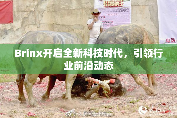 Brinx开启全新科技时代，引领行业前沿动态