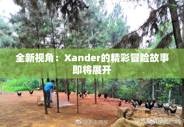 全新视角：Xander的精彩冒险故事即将展开
