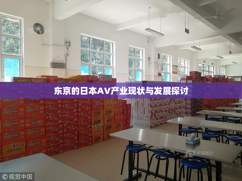 东京的日本AV产业现状与发展探讨