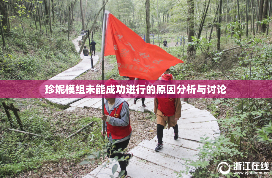 珍妮模组未能成功进行的原因分析与讨论