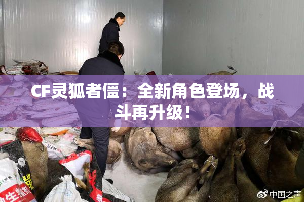 CF灵狐者僵：全新角色登场，战斗再升级！
