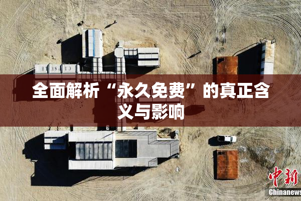 全面解析“永久免费”的真正含义与影响