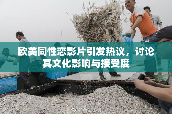 欧美同性恋影片引发热议，讨论其文化影响与接受度