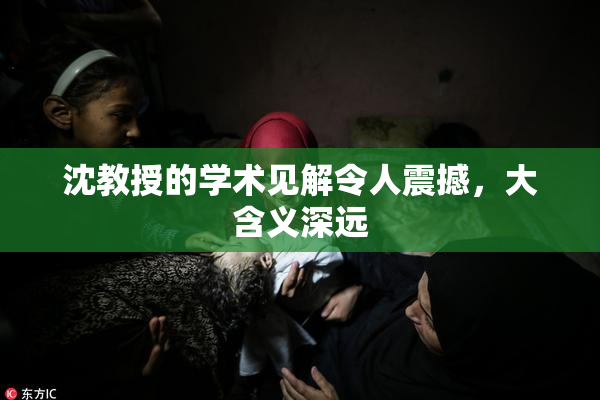 沈教授的学术见解令人震撼，大含义深远