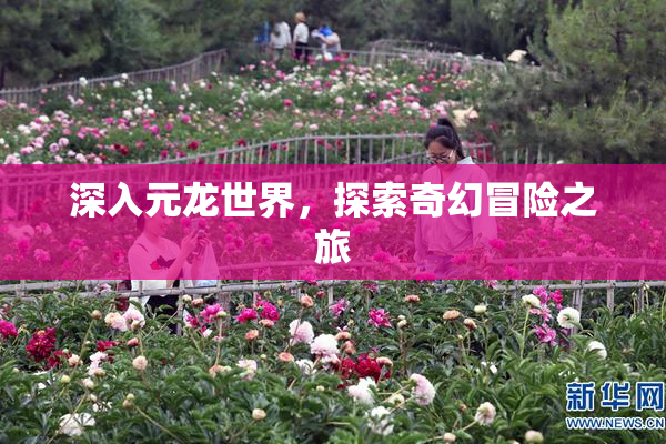 深入元龙世界，探索奇幻冒险之旅