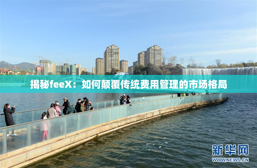 揭秘feeX：如何颠覆传统费用管理的市场格局