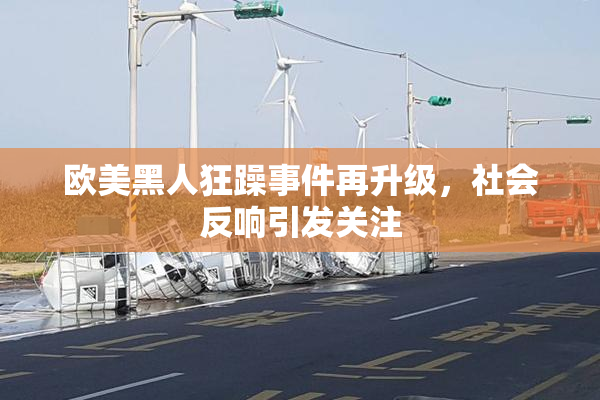 欧美黑人狂躁事件再升级，社会反响引发关注