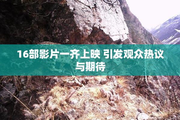 16部影片一齐上映 引发观众热议与期待