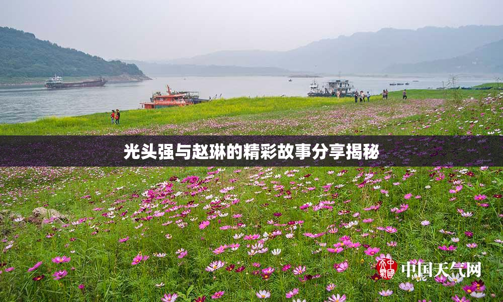 光头强与赵琳的精彩故事分享揭秘