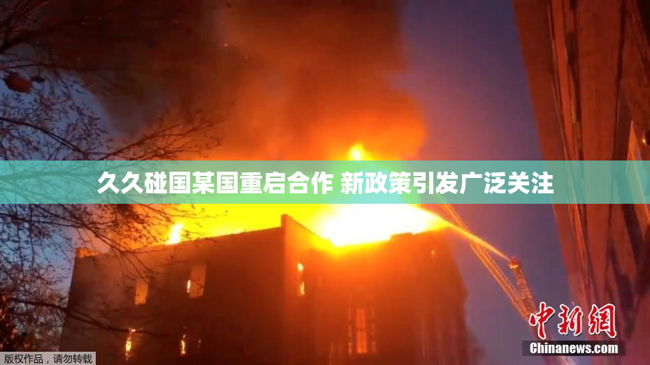 久久碰国某国重启合作 新政策引发广泛关注