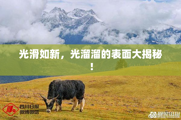 光滑如新，光溜溜的表面大揭秘！