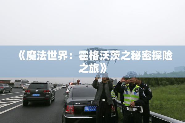 《魔法世界：霍格沃茨之秘密探险之旅》