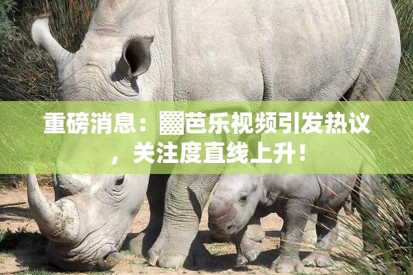 重磅消息：▓芭乐视频引发热议，关注度直线上升！