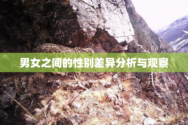 男女之间的性别差异分析与观察