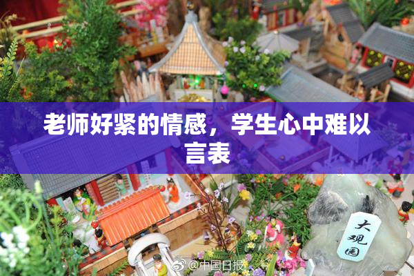 老师好紧的情感，学生心中难以言表