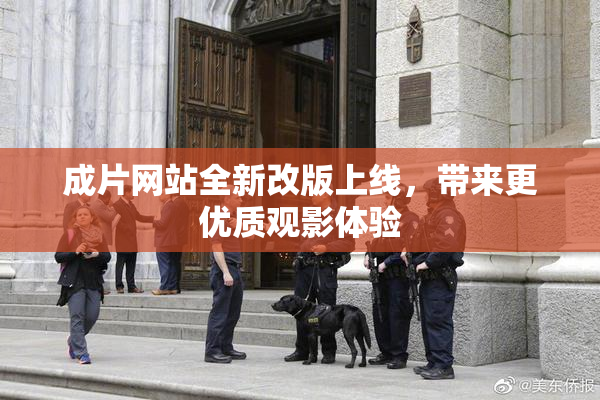成片网站全新改版上线，带来更优质观影体验