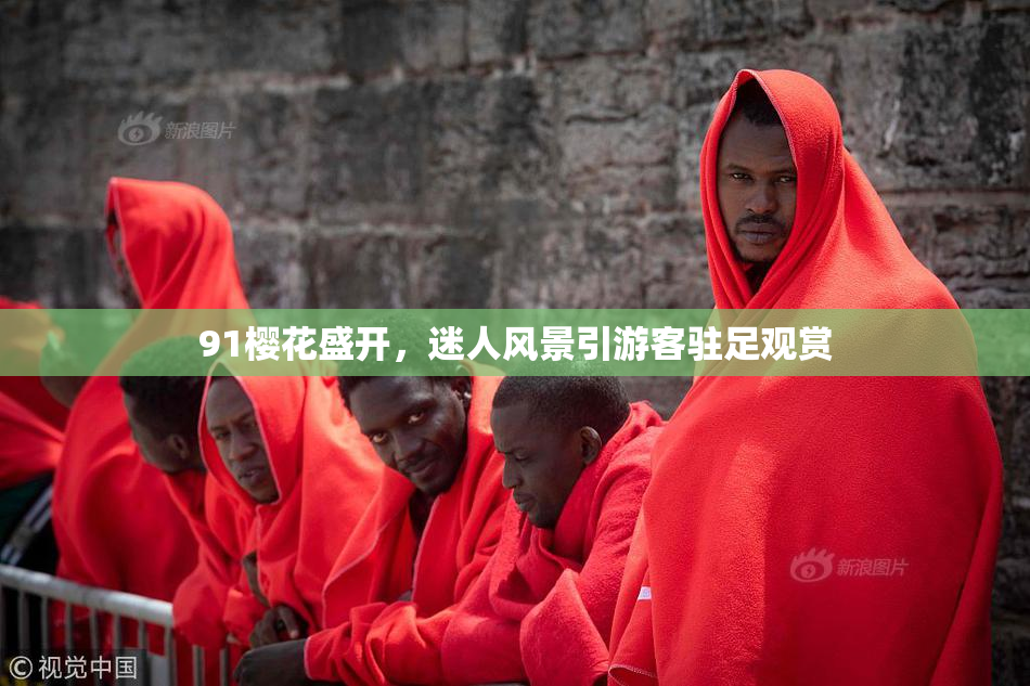 91樱花盛开，迷人风景引游客驻足观赏