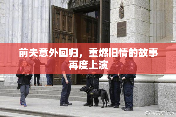 前夫意外回归，重燃旧情的故事再度上演