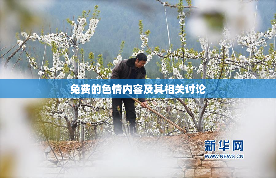 免费的色情内容及其相关讨论