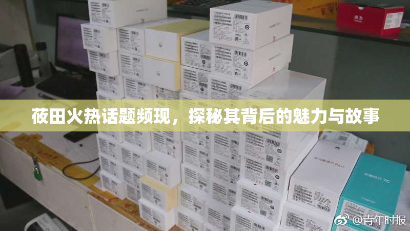 莜田火热话题频现，探秘其背后的魅力与故事