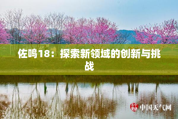 佐鸣18：探索新领域的创新与挑战
