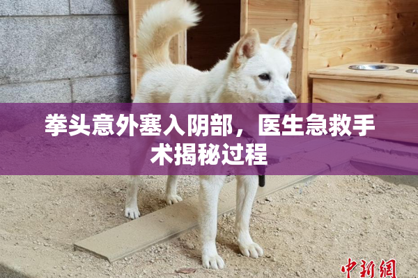 拳头意外塞入阴部，医生急救手术揭秘过程