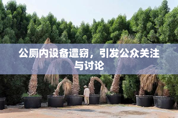 公厕内设备遭窃，引发公众关注与讨论