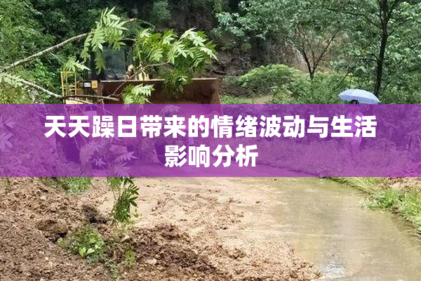 天天躁日带来的情绪波动与生活影响分析