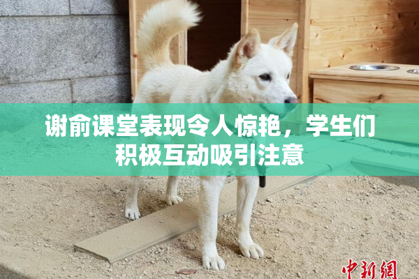 谢俞课堂表现令人惊艳，学生们积极互动吸引注意