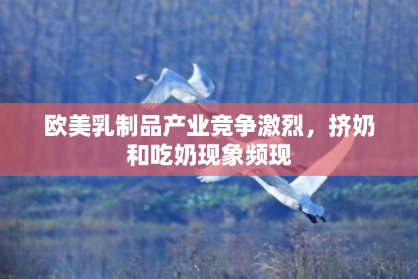欧美乳制品产业竞争激烈，挤奶和吃奶现象频现