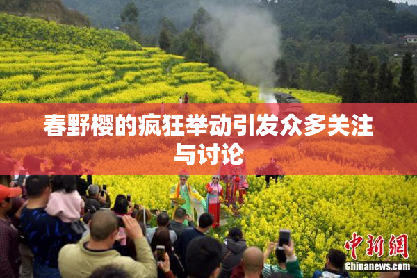春野樱的疯狂举动引发众多关注与讨论