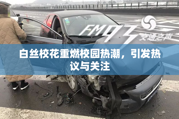 白丝校花重燃校园热潮，引发热议与关注