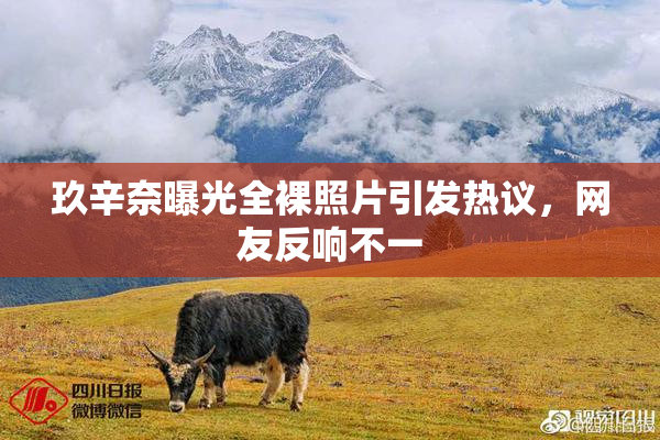 玖辛奈曝光全裸照片引发热议，网友反响不一