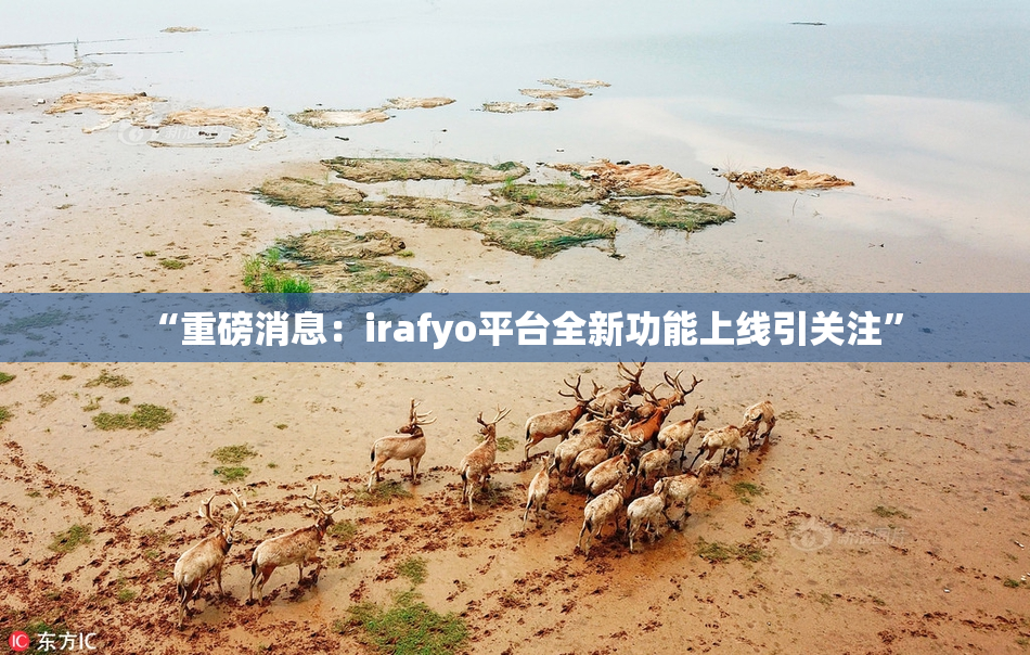 “重磅消息：irafyo平台全新功能上线引关注”