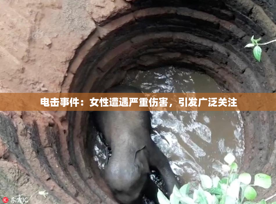 电击事件：女性遭遇严重伤害，引发广泛关注