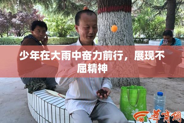 少年在大雨中奋力前行，展现不屈精神