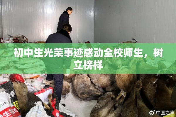 初中生光荣事迹感动全校师生，树立榜样