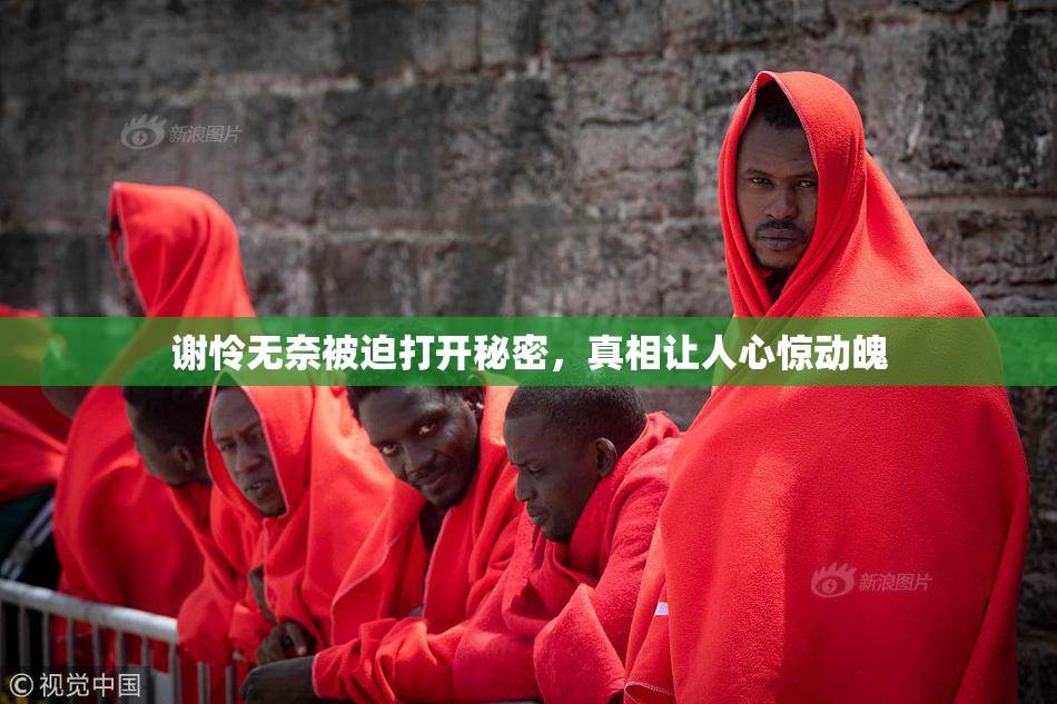 谢怜无奈被迫打开秘密，真相让人心惊动魄