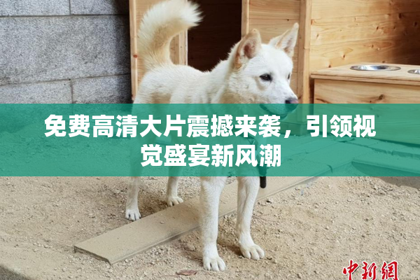 免费高清大片震撼来袭，引领视觉盛宴新风潮