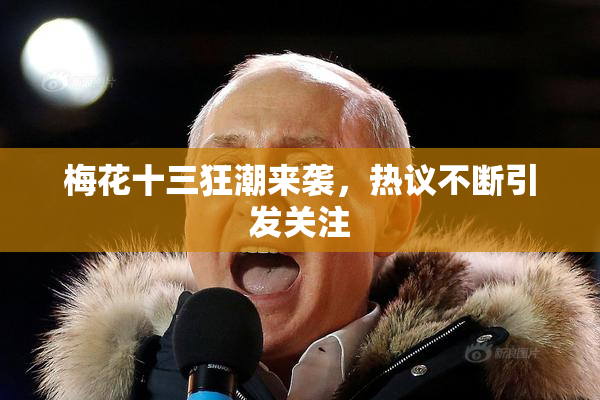 梅花十三狂潮来袭，热议不断引发关注