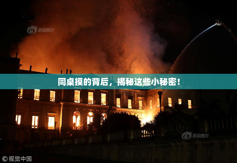 同桌摸的背后，揭秘这些小秘密！