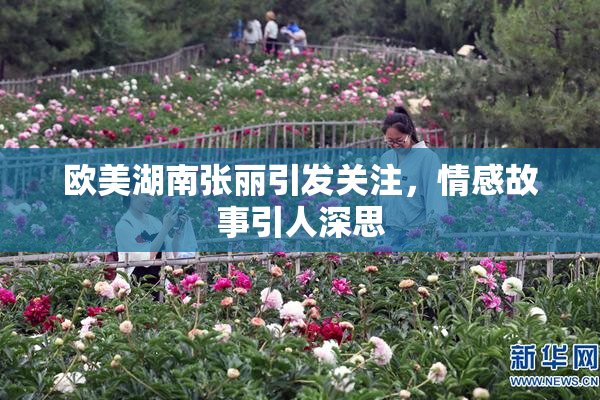 欧美湖南张丽引发关注，情感故事引人深思