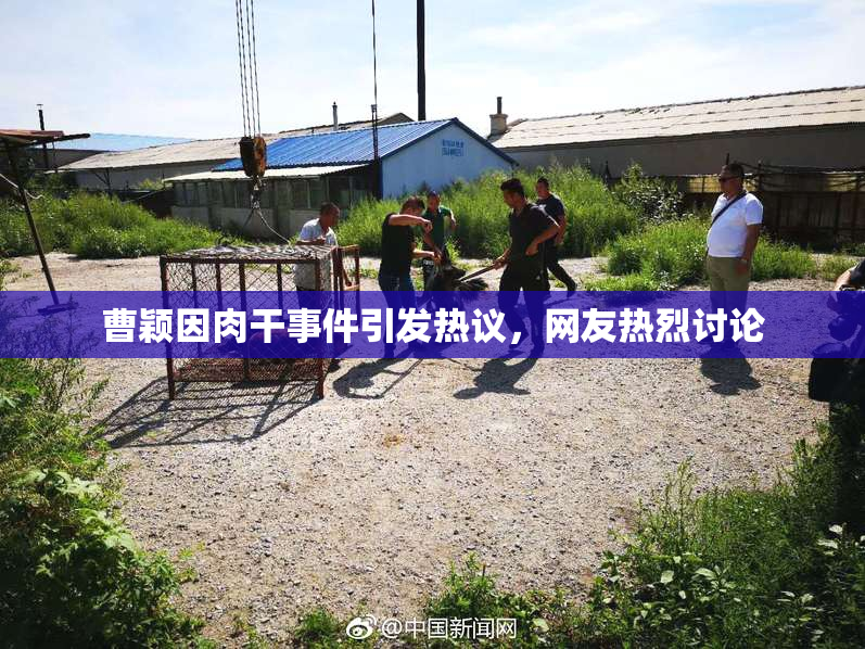 曹颖因肉干事件引发热议，网友热烈讨论