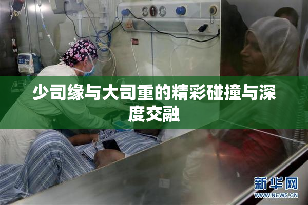 少司缘与大司重的精彩碰撞与深度交融